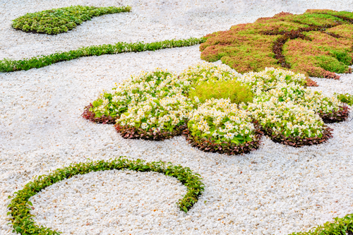 Ein gestalteter Garten mit Ziersplitt.